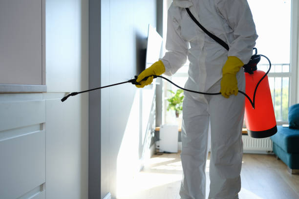 Best Emergency Mold Removal  in Kountze, TX